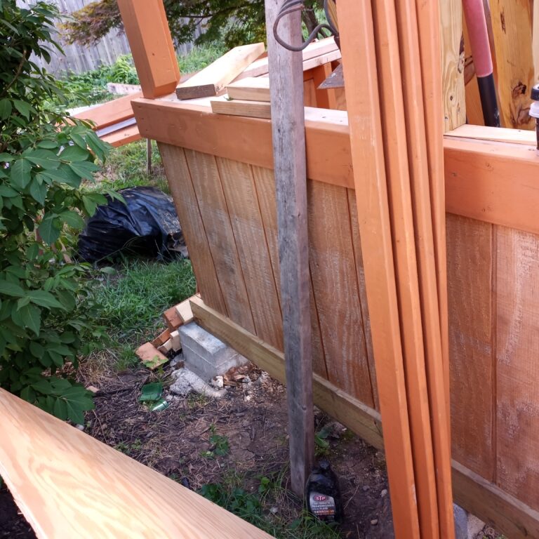 IMG_20220731_184223 (1)